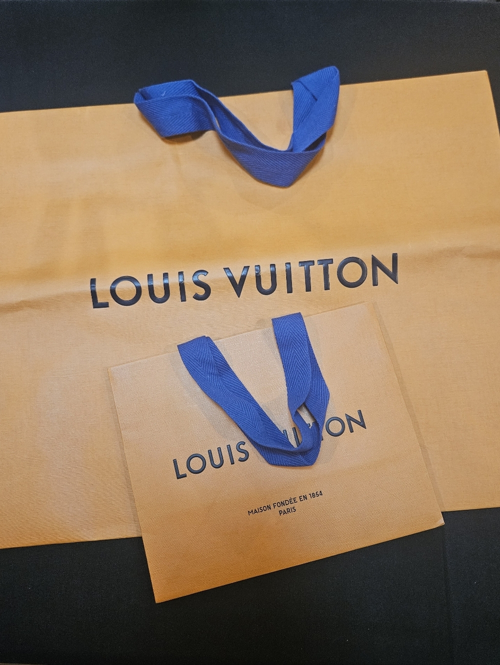Louis Vuitton 2 Paper Shopping Bags Large & Small Totes Blue Fabric Handles